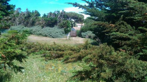 Maisonnette Derri�re La Dune