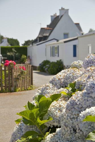 Camping Park Er Lann