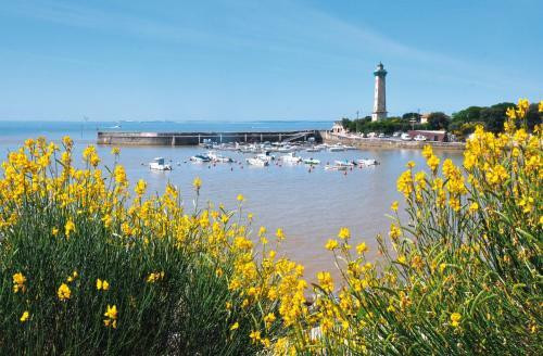 Camping Le Dauphin