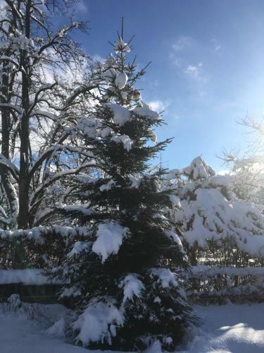 Bed & Breakfast Chalet L'aiglon