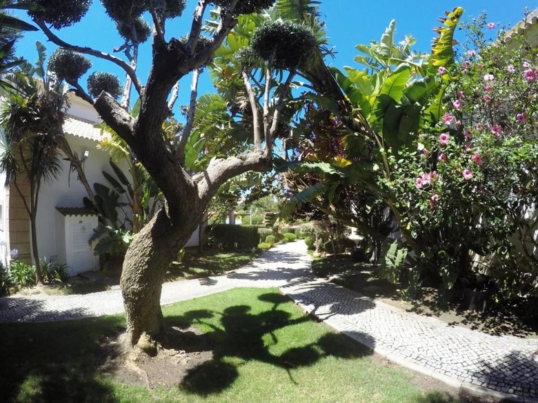 Hotel Luzmar Villas