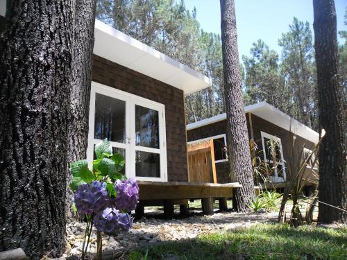 Pinocha Point Bungalows