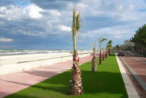 Hotel Samsun Otel