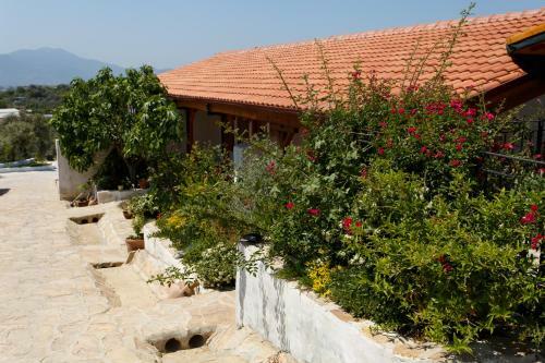 Hostal Ionia Guest House