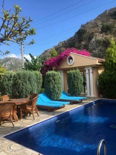Villa Dalyan Palace