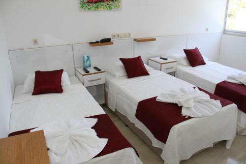 Hotel Aelb?stan Otel