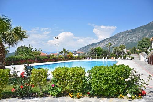 Apartamento Pinara 40