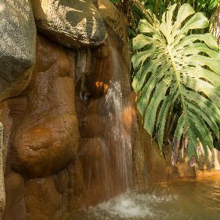 Hotel Arenal Paraiso Resort & Spa