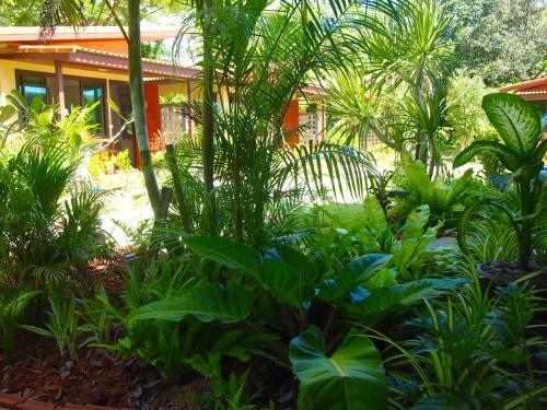 Hotel At Bangsak Resort