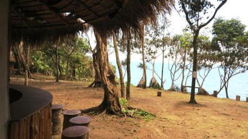 Hotel Cliff View Resort