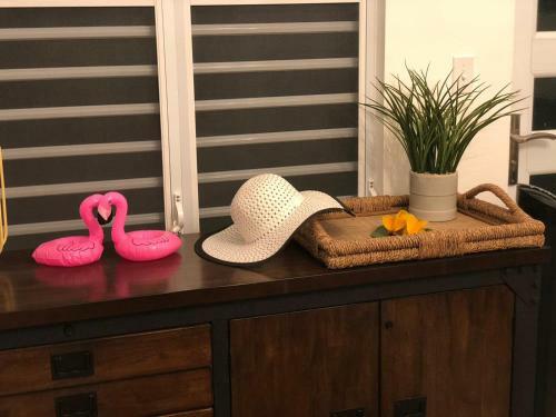 Apartamento Carmeloria 2
