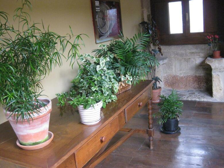 Hotel Castillo Vald�s Salas
