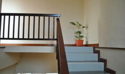 Hostal Griya Ringo Guest House