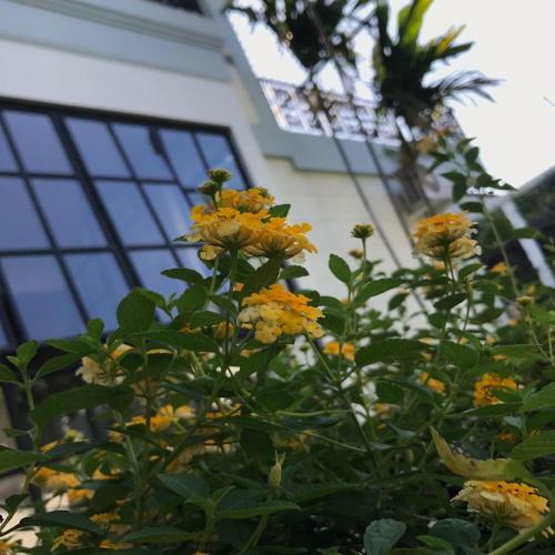 Hostal Rumah Kertajaya