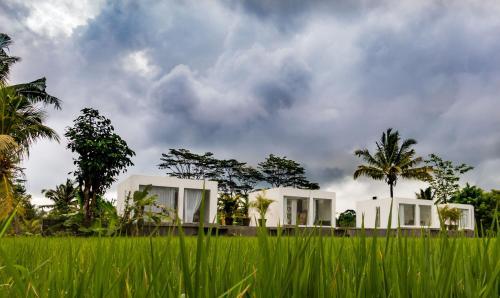 Ubud White Cubes