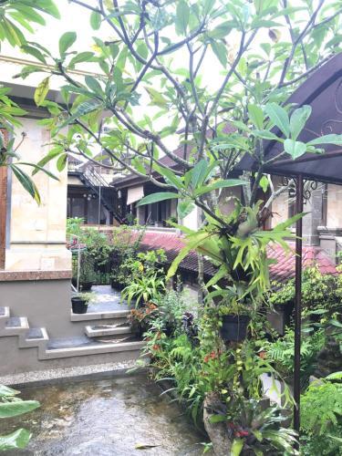 Hostal Ari House