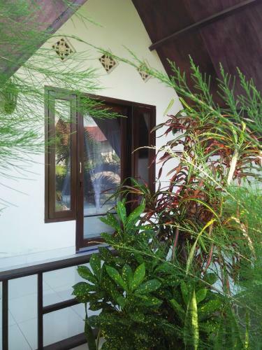 Hostal The Flower Cottages