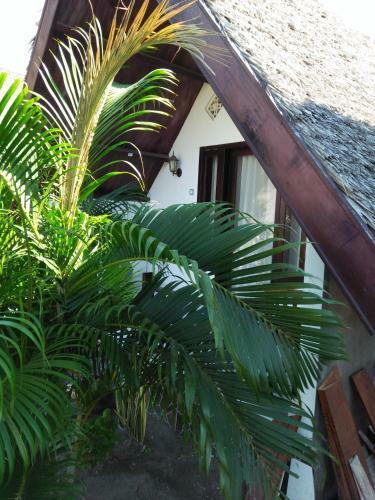 Hostal The Flower Cottages