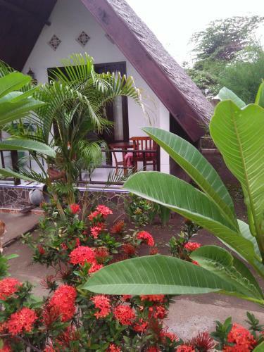 Hostal The Flower Cottages