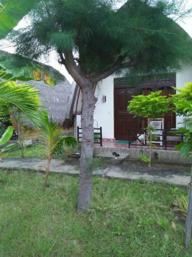 Hostal The Flower Cottages