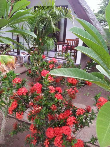 Hostal The Flower Cottages