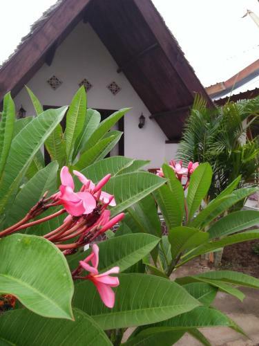 Hostal The Flower Cottages