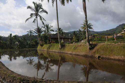 Lodge Puri Sunny Camp