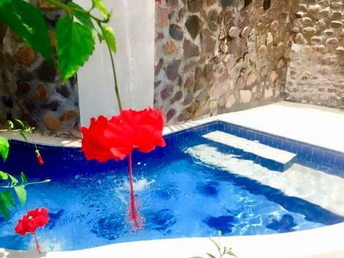Hotel Villa Jembrana