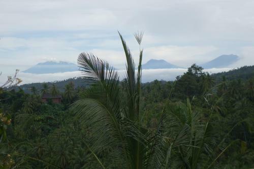 Hotel Villa Jembrana