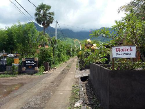 Hostal Molleh Guest House