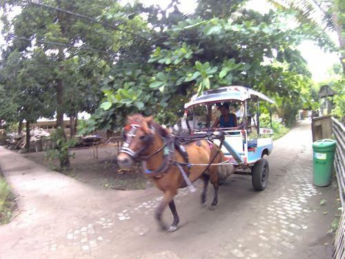 Mama Homestay