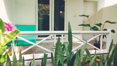 Bed & Breakfast The Hangout