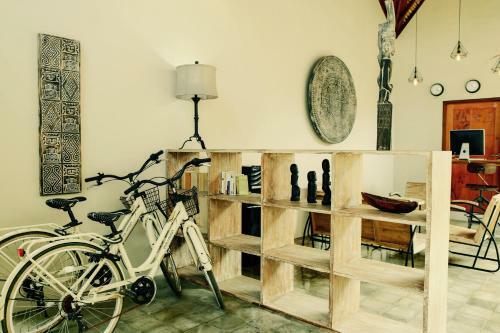 Villa Motu