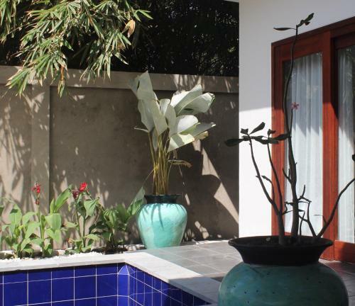 Mewali Villa's