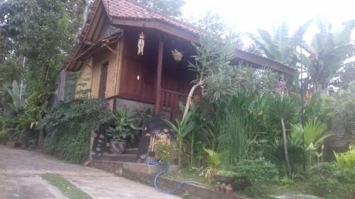 Stay In Ijen