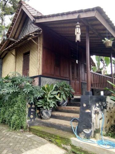 Stay In Ijen