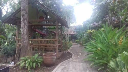 Stay In Ijen