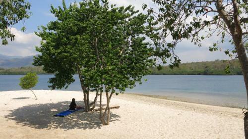Hotel Batu Ampar Bungalows