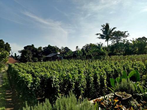 Villa Anni'mah Tapos
