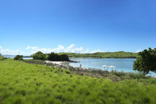 Alila Purnama - Komodo