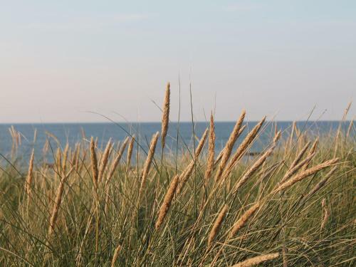 Apartamento Arkona 2 - Direkt Am Feinsandigen Strand