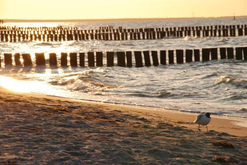 Apartamento Zingst
