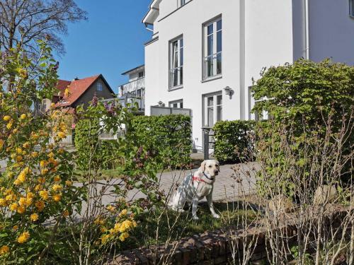 Apartamento Zinnowitz Paradies Ambiente