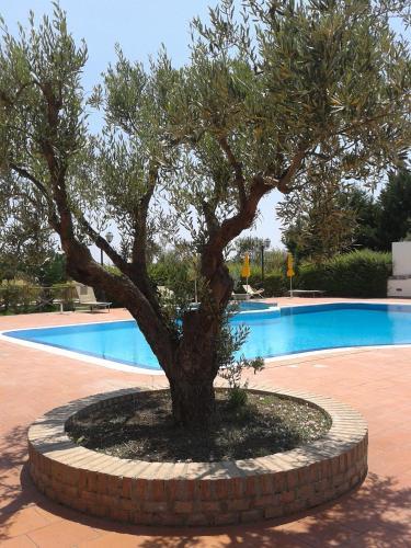 Hotel Agriturismo La Casa Di Botro