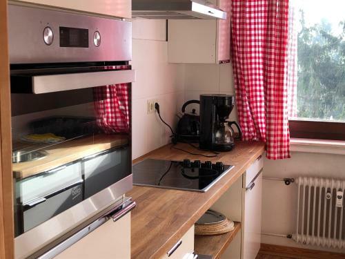 Apartment Alpina