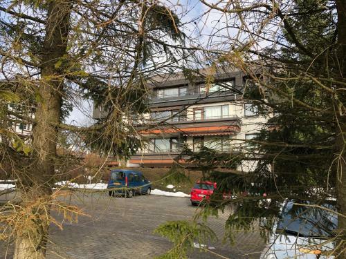 Apartment Alpina