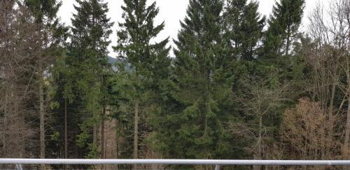Apartamento Appartement Brink Am Waltenberg 70