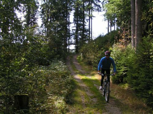 Apartamento Haus Am Hillebachsee