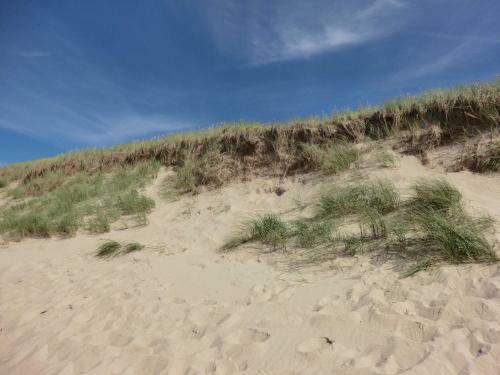 Apartamento Ferienwohnung 10 Auf Sylt _ Wester