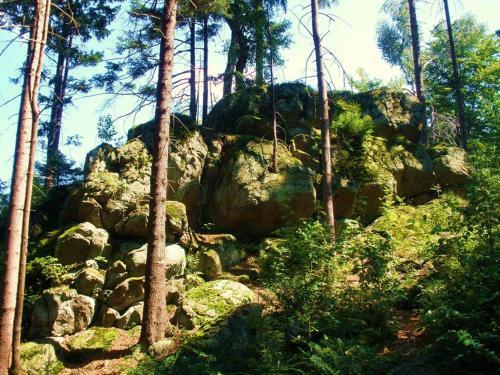 Apartamento Ferienwohnungen Waldblick